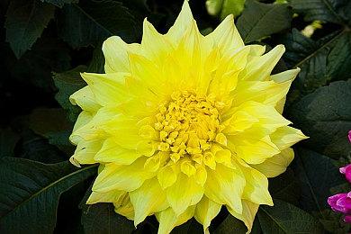 太空狼人杀《我们之中VR》现已登陆PSVR2